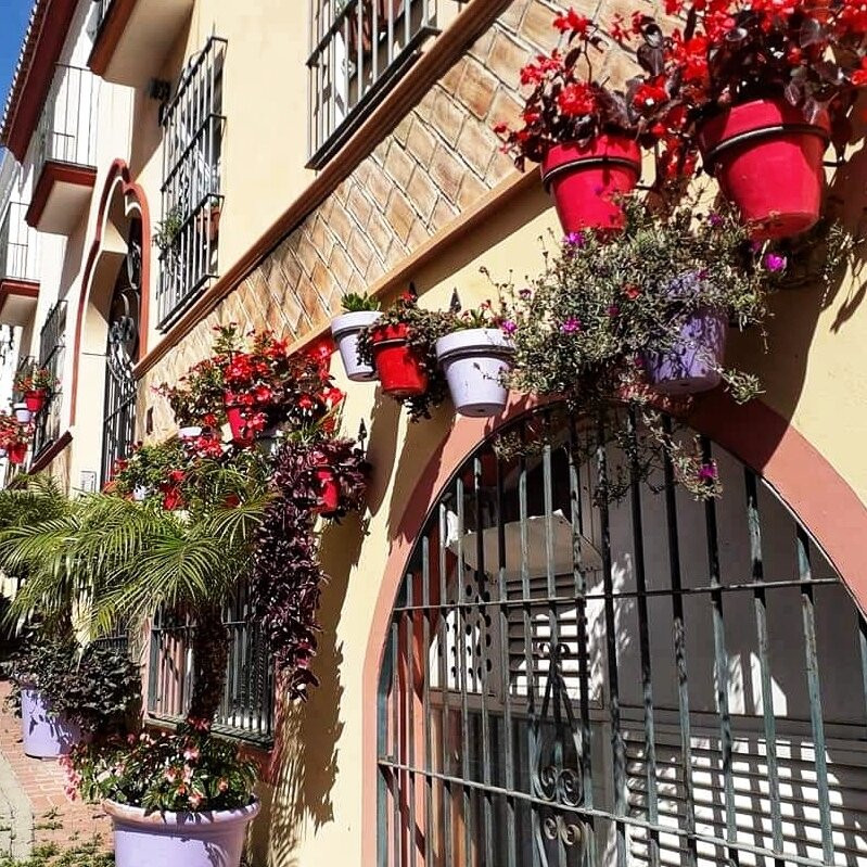 Estepona Town景点图片