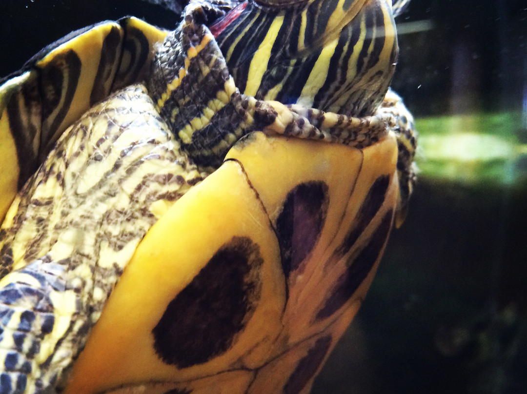 Zionsville Nature Center-Zionsville必去景点