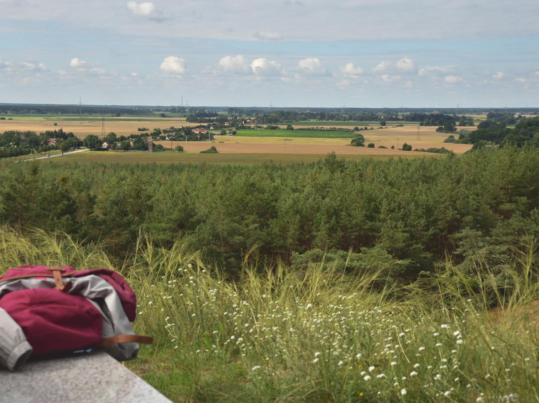 Milower Berg-Milow必去景点