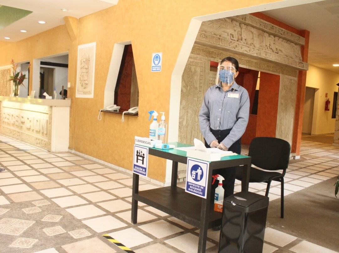 Maya Tulipanes Express主图