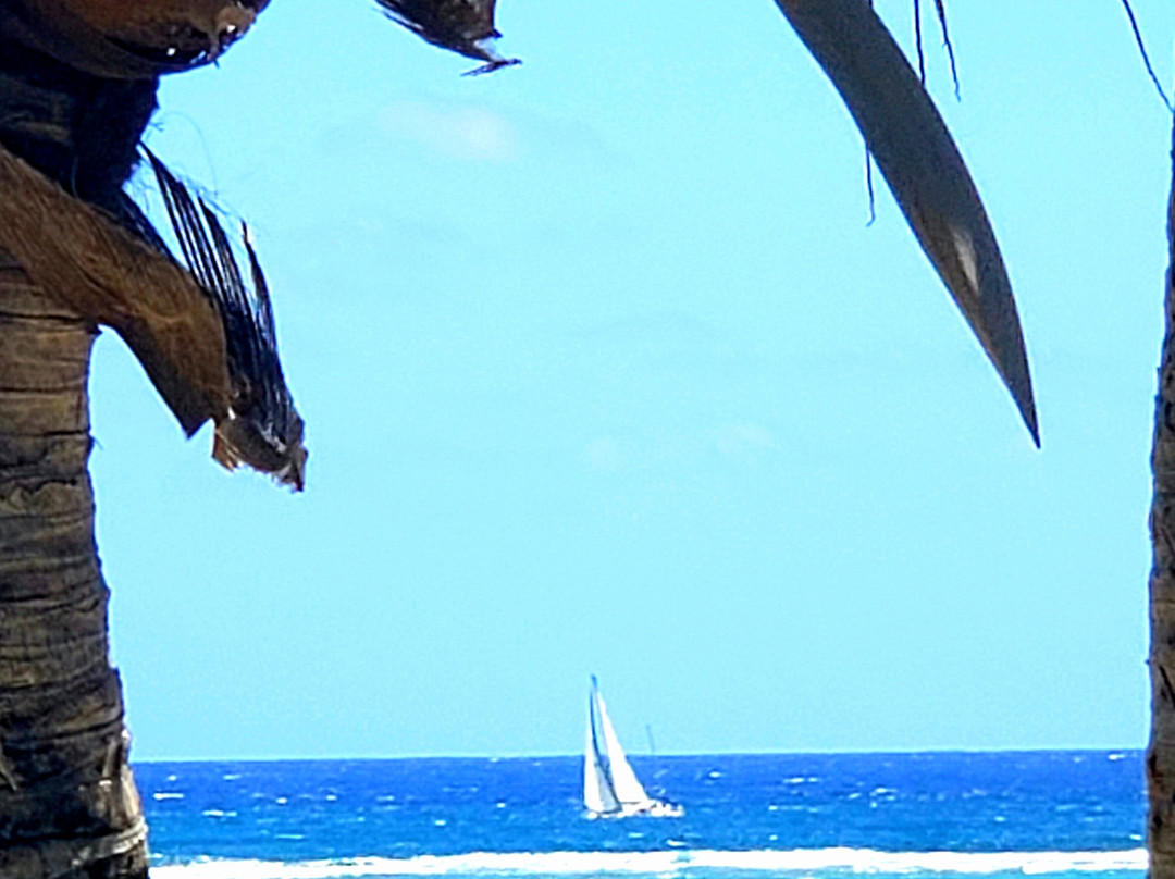 St. James Club & Villas主图