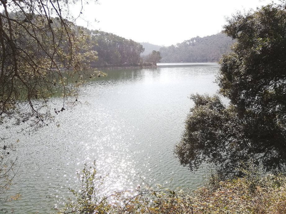 Lac de Carcès景点图片