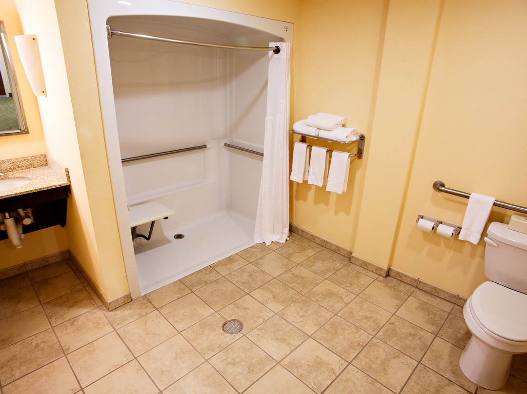 Holiday Inn Express & Suites Harrisburg W - Mechanicsburg By IHG主图