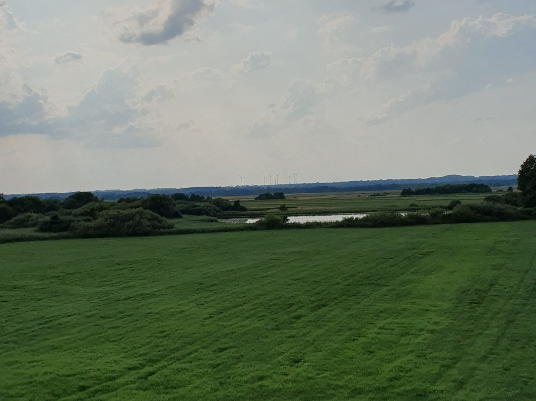 Aussichtsturm Neu Helgoland景点图片