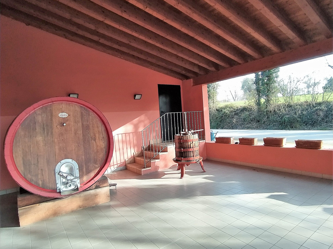 Azienda Agricola Turina景点图片