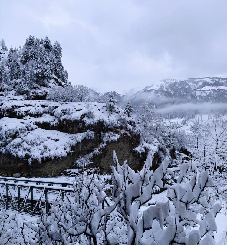 Solang Heights Hotel And Cafe主图