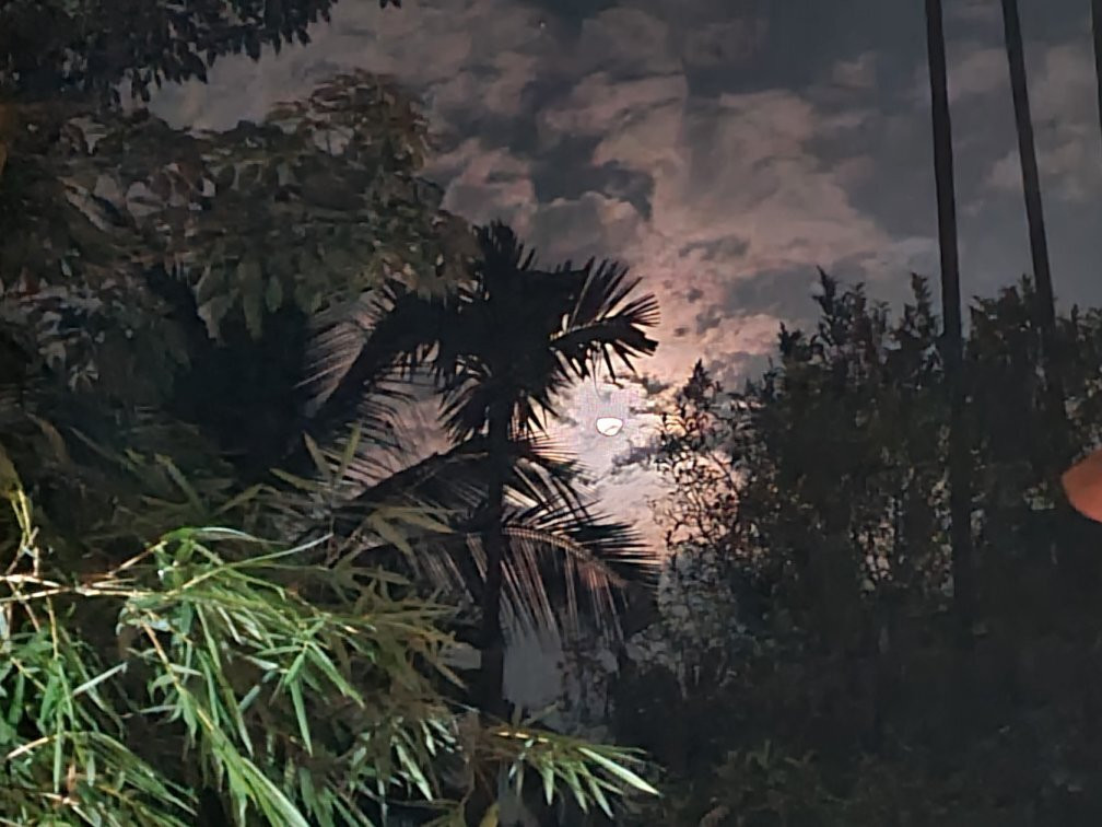 Himadri Retreat主图