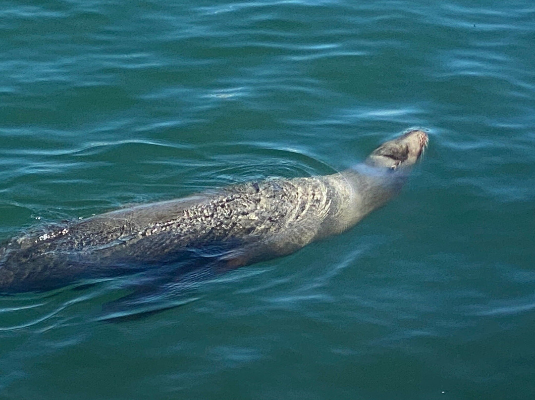 Burton W. Chace Park-玛丽安德尔湾必去景点