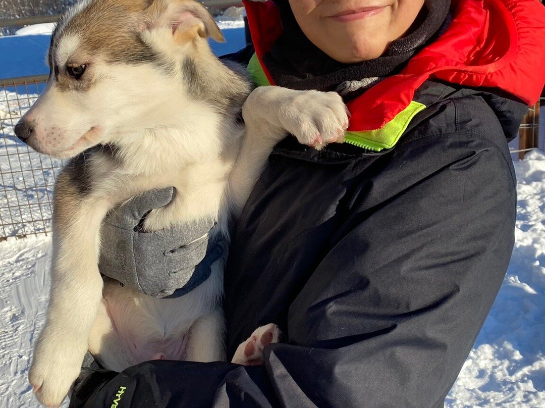 Trail Breaker Kennel-费尔班克斯必去景点