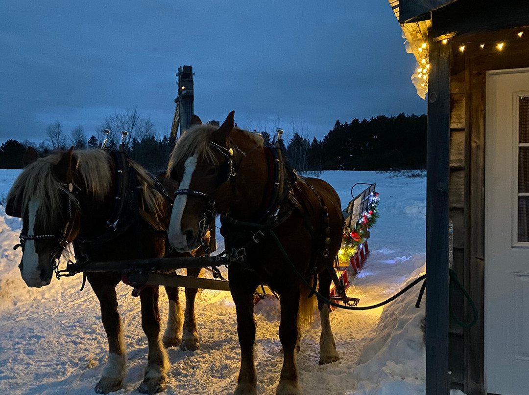 Country Dreams Farm-Plattsburgh必去景点