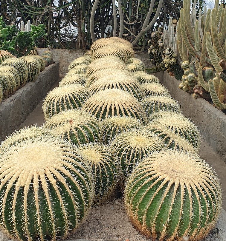 Pine View Nursery景点图片