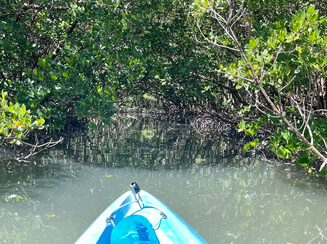 Finseeker Guided Adventures-那不勒斯必去景点