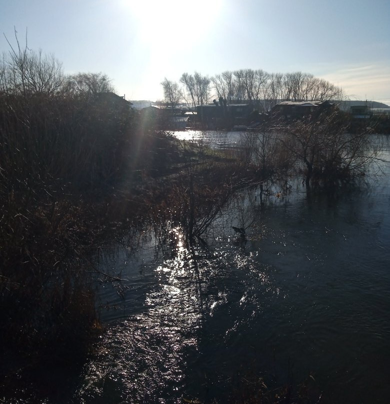 Attenborough Nature Centre景点图片