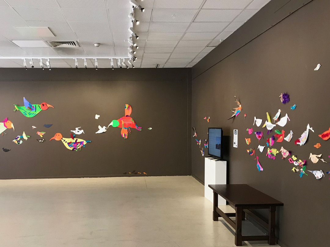 Burnie Regional Art Gallery-伯尼必去景点