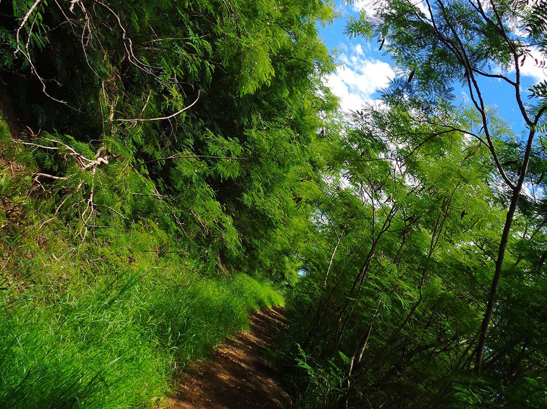 Notre Dame Du Pacifique-努美阿必去景点
