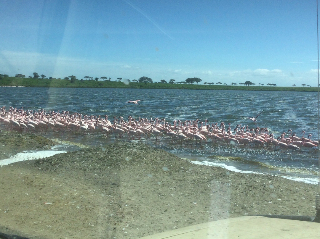 Godson Adventures Plains 2 Peaks-阿鲁沙必去景点