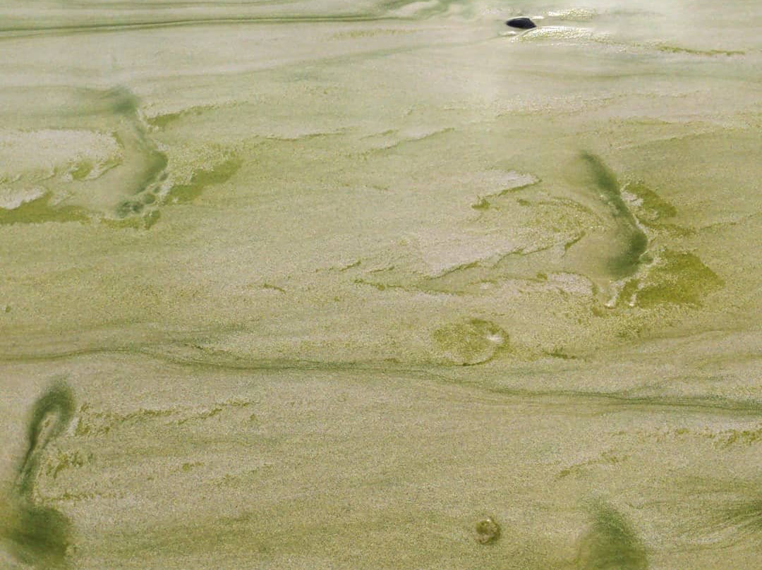 Mallacoota Coastal Walks-Mallacoota必去景点