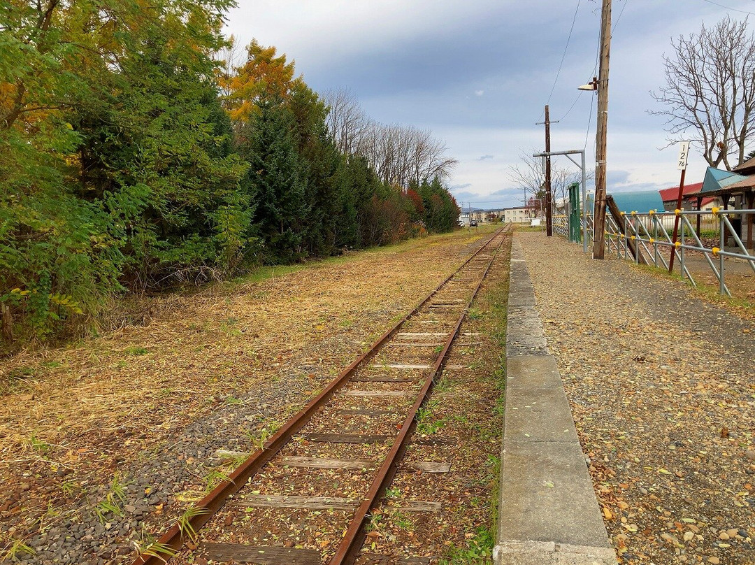 Shin Totsukawa Station-新十津川町必去景点