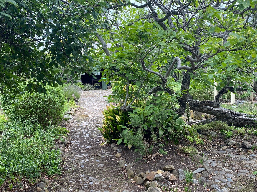 Oak Lodge景点图片