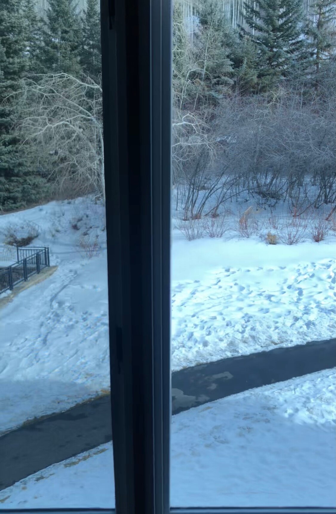 The Charter at Beaver Creek-酒店景观