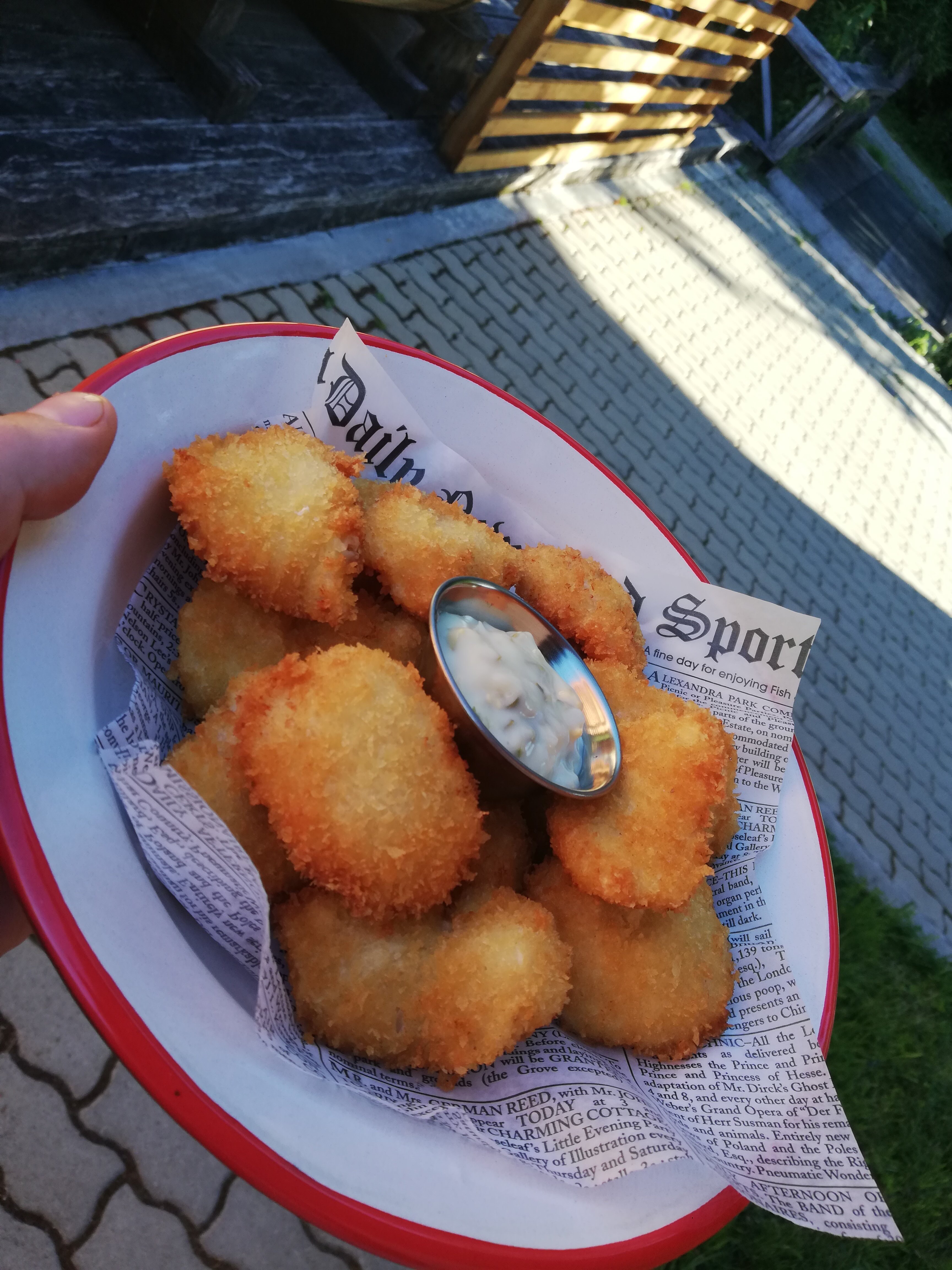 Alto Melimoyu-餐饮