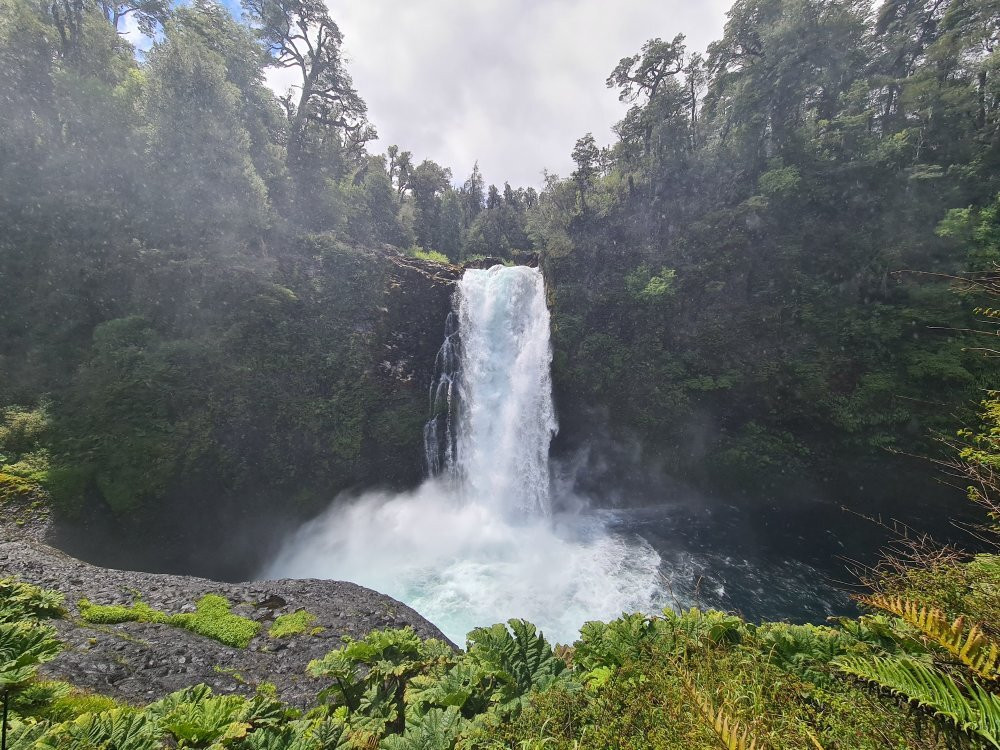Sendero el Puma-耐尔杜美必去景点