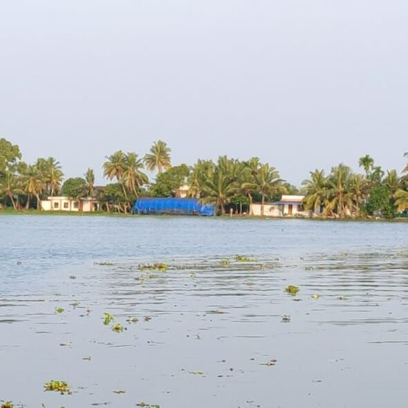 Alappuzha Boat Jetty景点图片