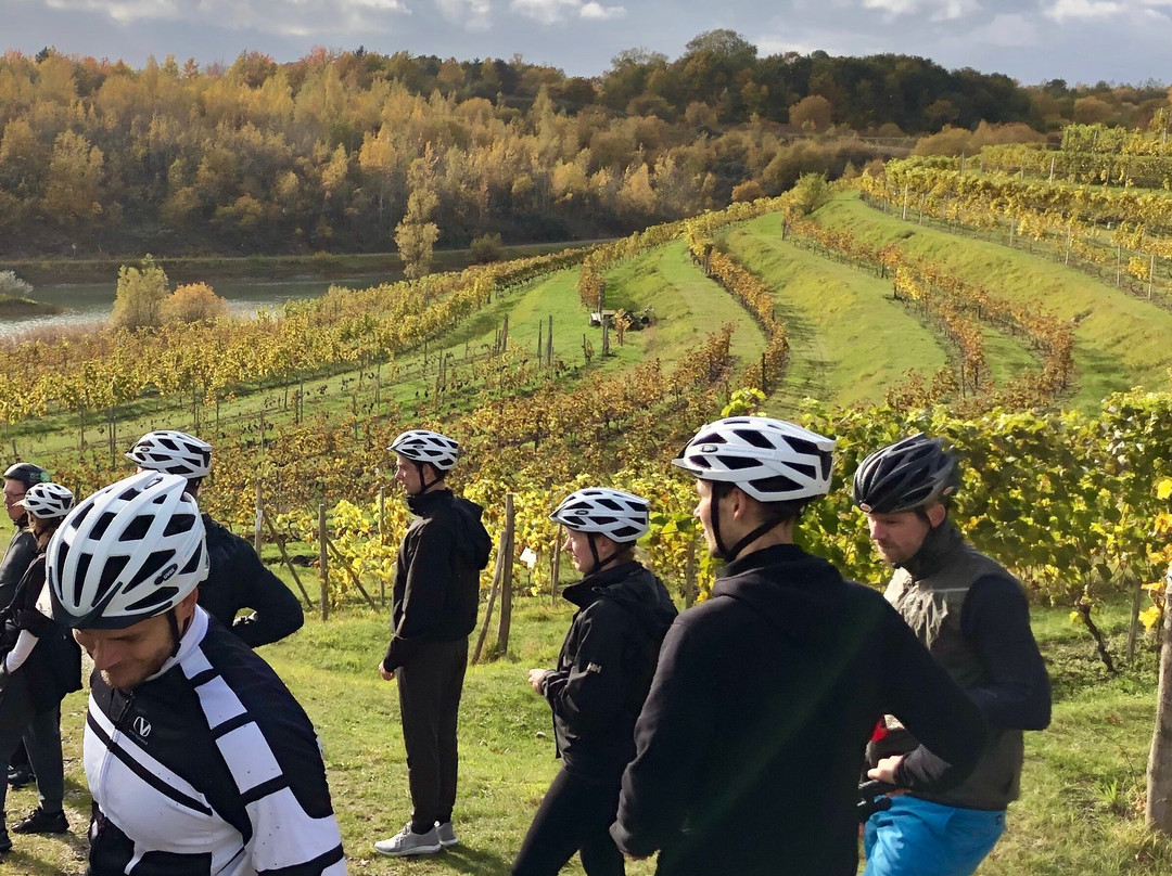 Hedeland MTB Tours景点图片