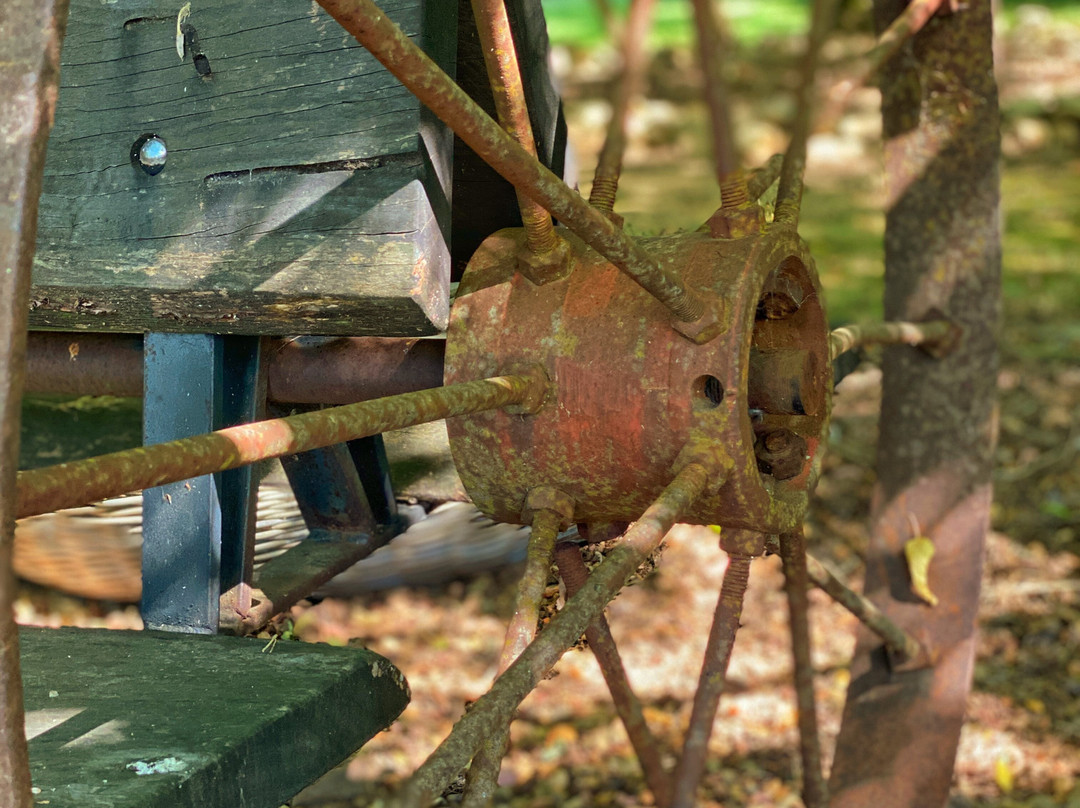 Buffalo Motel and Country Retreat主图