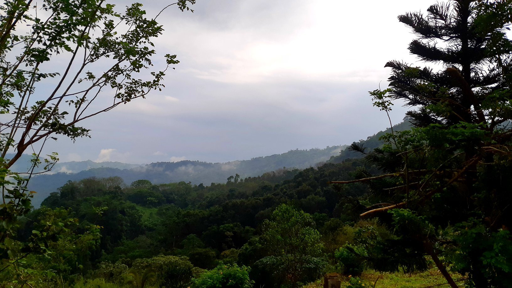 Balai Tanay-官方