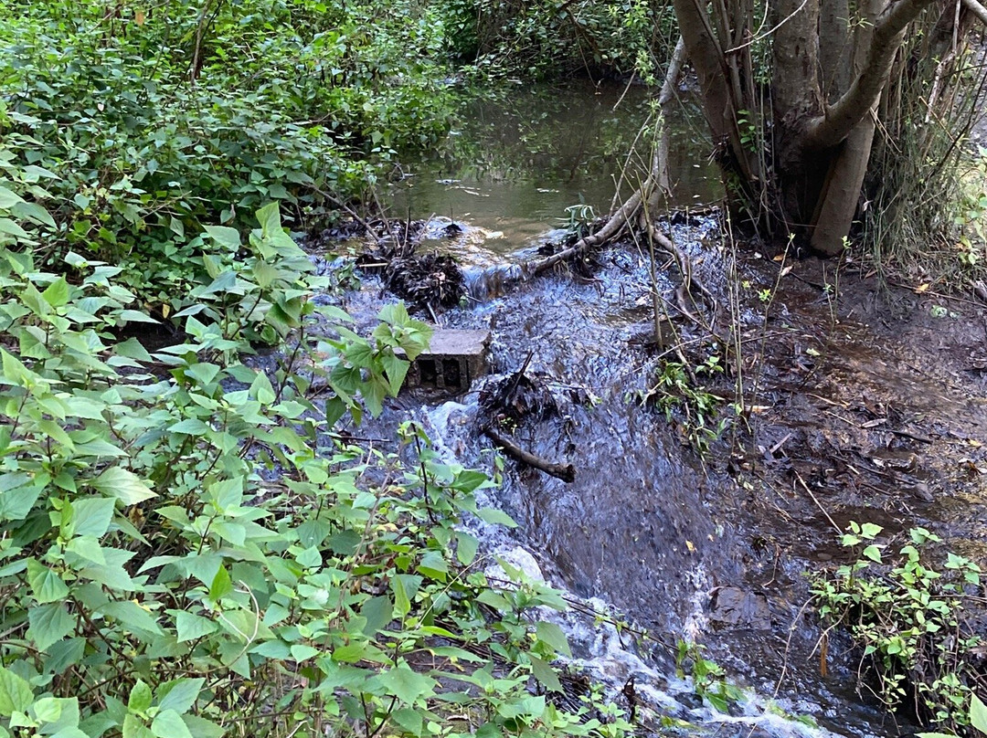 Barranco de Azuaje景点图片