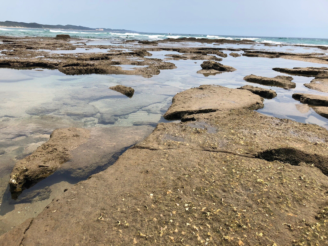 Sodwana Bay-索德瓦纳必去景点