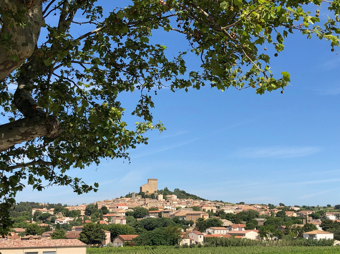 Provence Authentic景点图片