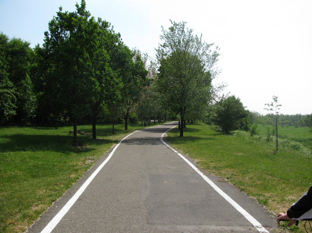 Parco Giovanni Callioni景点图片
