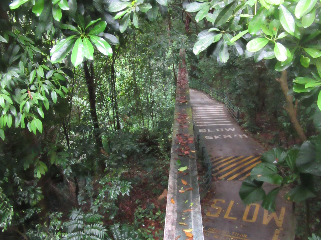 下畅游圣淘沙自然探索中心-圣淘沙岛必去景点