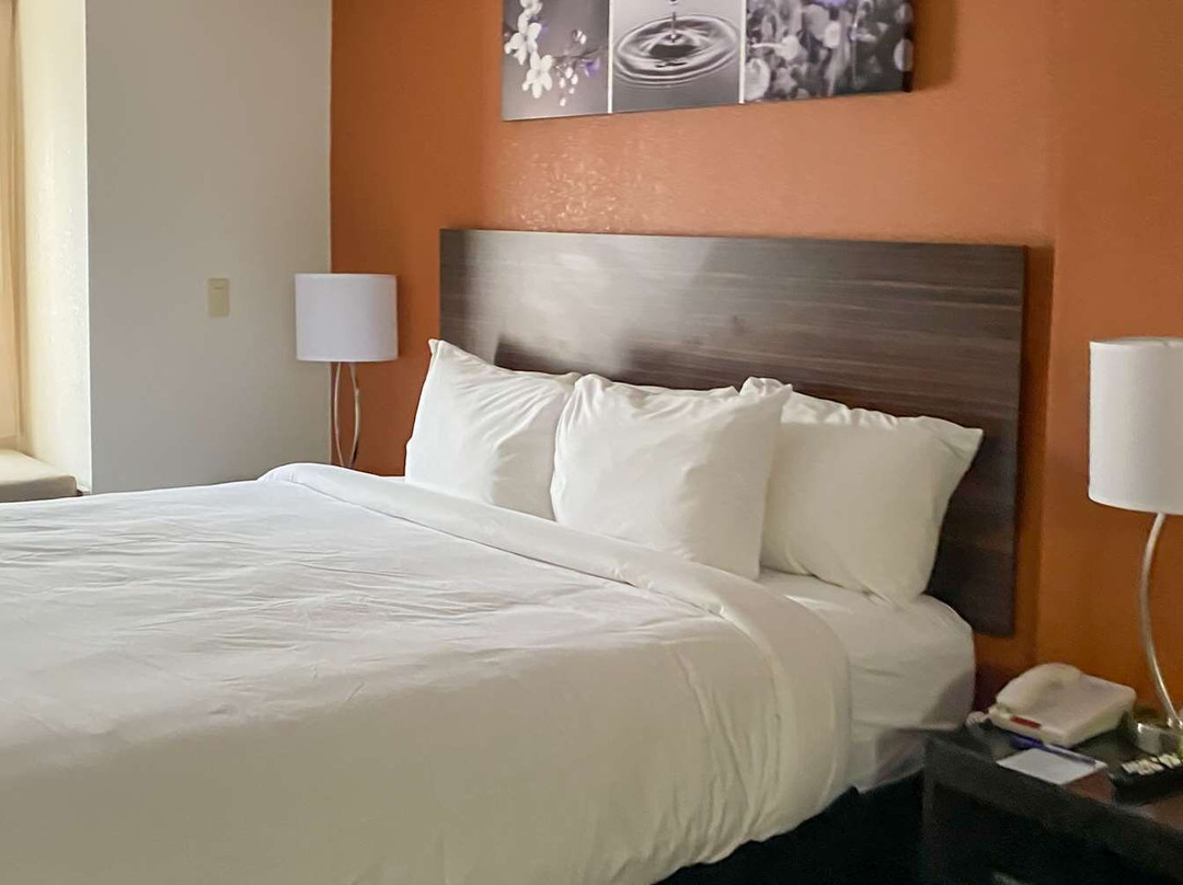Sleep Inn & Suites主图