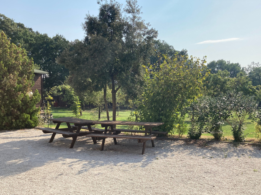 贝卡内农场酒店主图