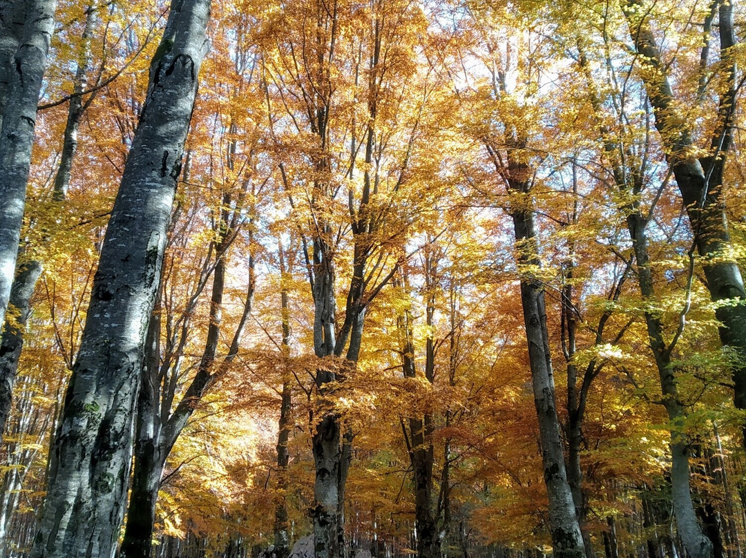 Area Pic Nic Prato di Campoli-Veroli必去景点