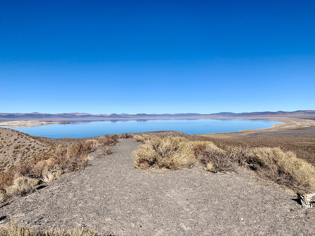 Mono Lake Tufa State Natural Reserve景点图片