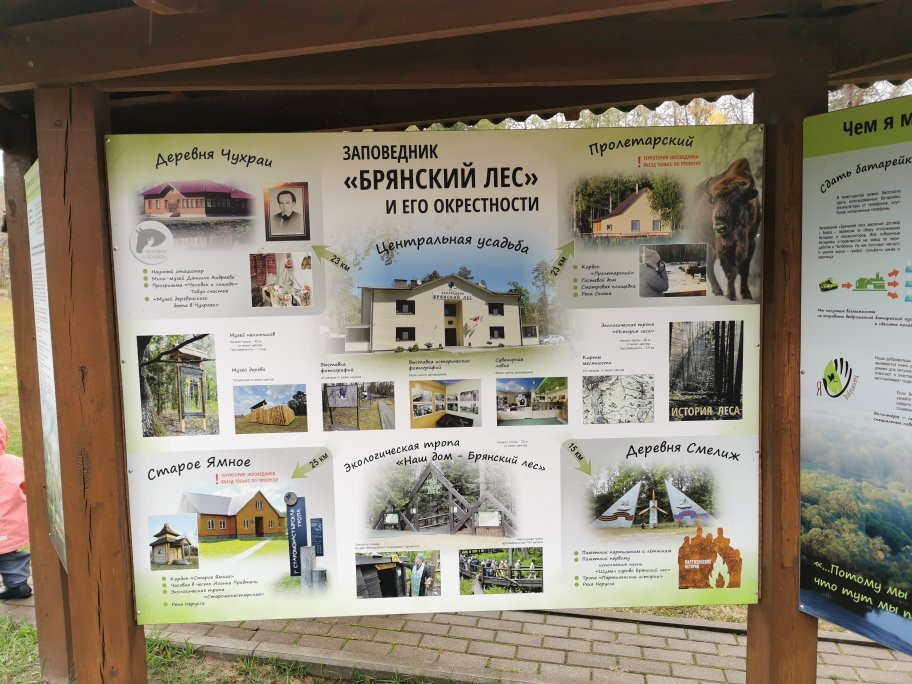 State Biosphere Reserve Bryansk Forest景点图片