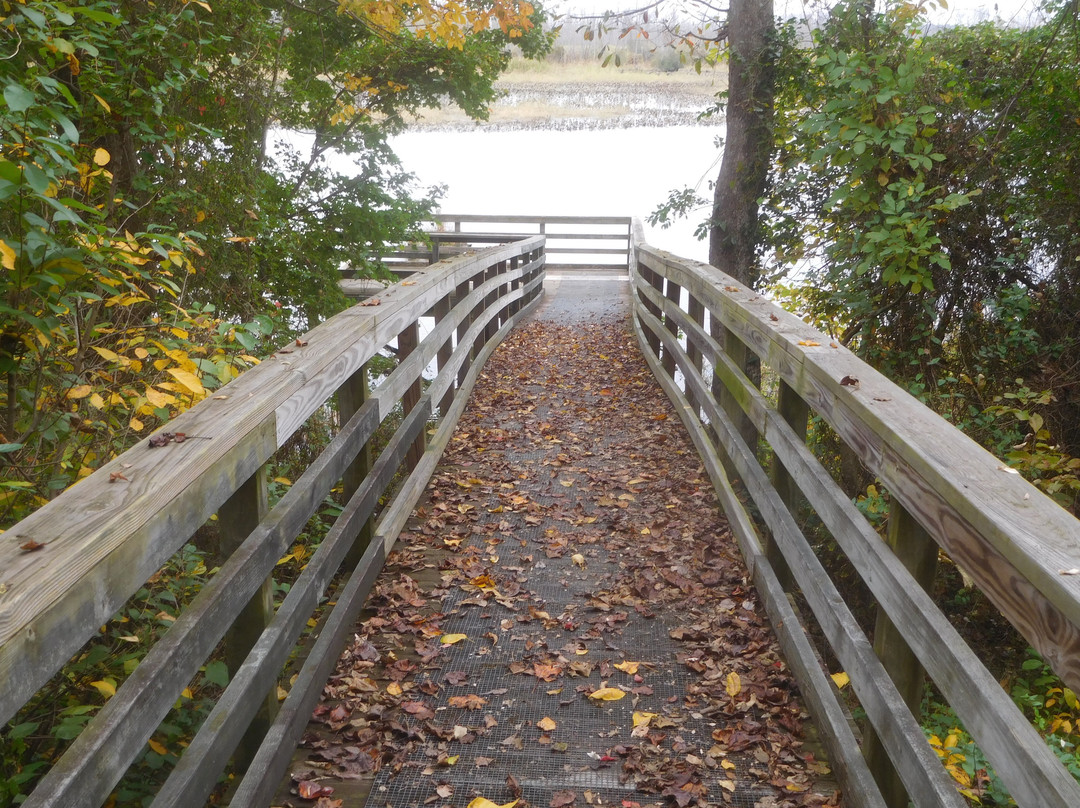 Cumberland Marsh Natural Area Preserve-New Kent必去景点