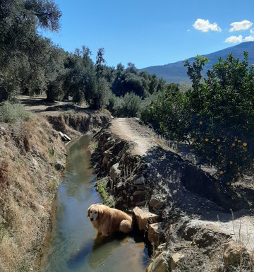 GOinsitu-格拉纳达必去景点