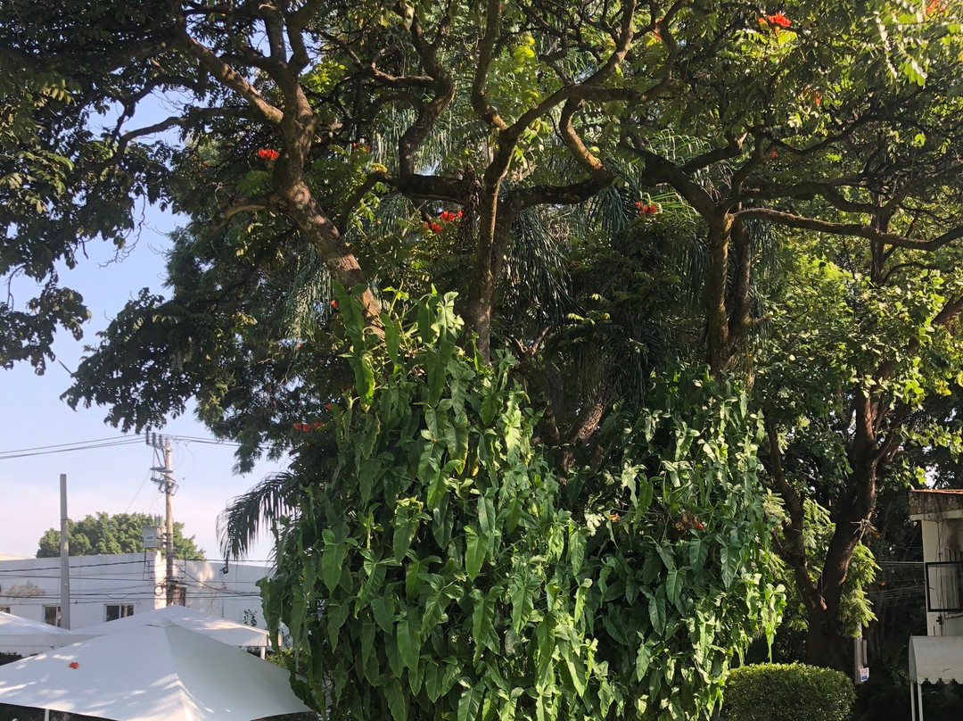 Quinta Las Flores主图