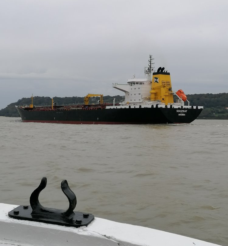 Promenade en Bateau Honfleur景点图片