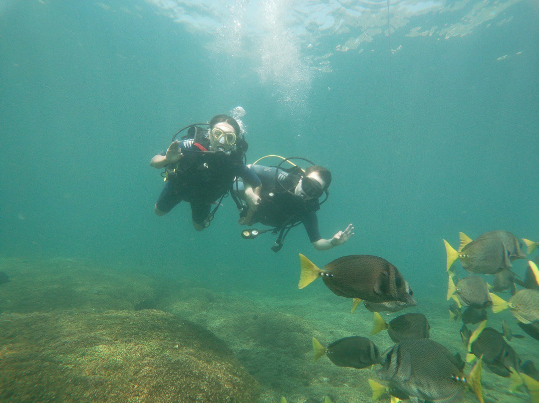 Scuba Diving Anfibios Huatulco景点图片