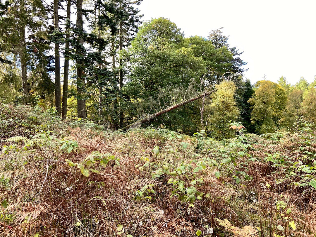Cateran Trail-Blairgowrie必去景点