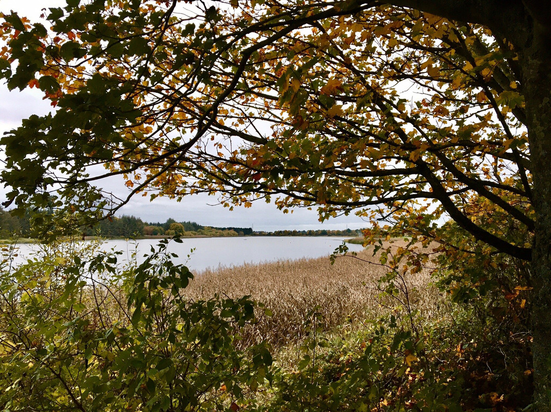 Loch Of Forfar-Forfar必去景点