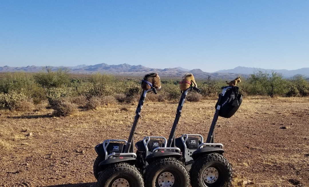 Fort McDowell Adventures景点图片