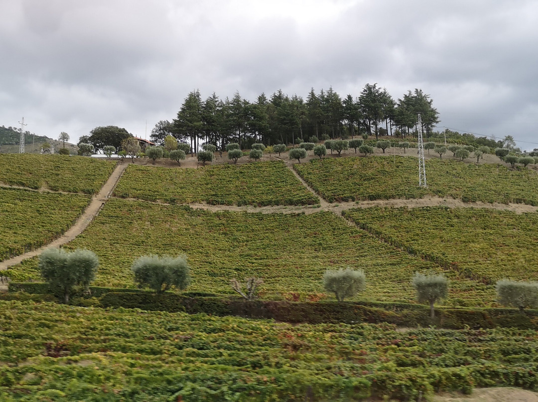 Hotel Quinta do Silval主图