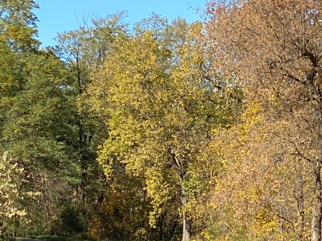 Chippewa River Trail-欧克雷尔必去景点